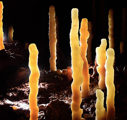 Several stalagmites can be found inside the Dargilan cave in Meyrueis (48), Lozère.