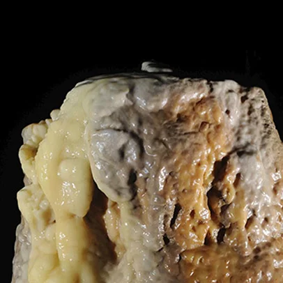 Formation rocheuse de grotte avec des dépôts minéraux blancs, jaunes et bruns texturés à Meyrueis en Lozère 48