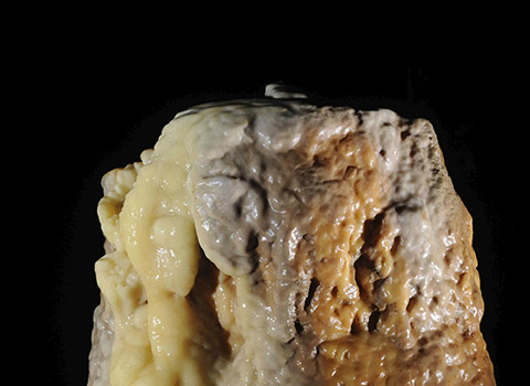 Vue rapprochée d'une stalagmite