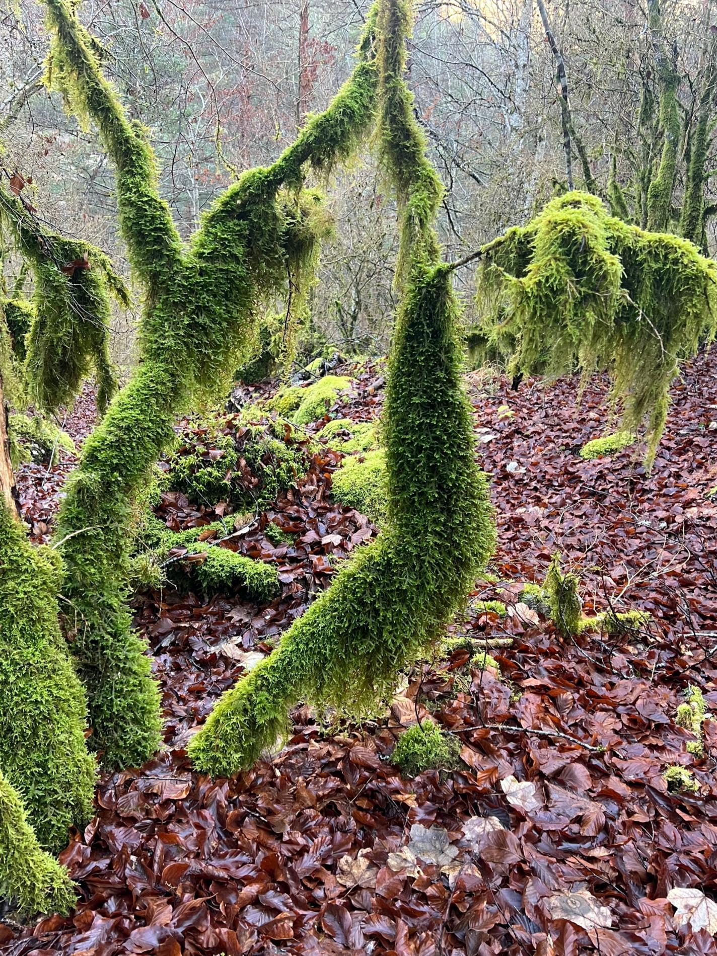 Vacances de F&eacute;vrier