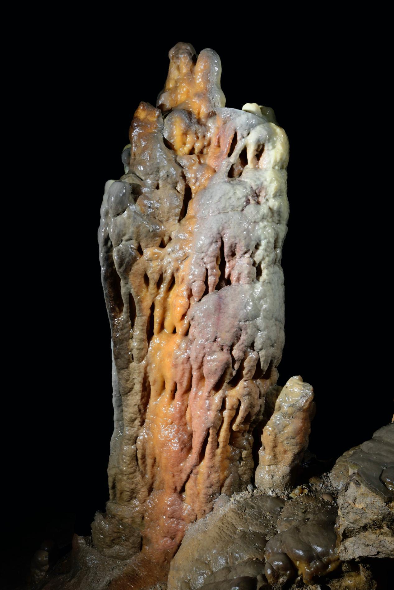 Ouverture de la grotte de Dargilan